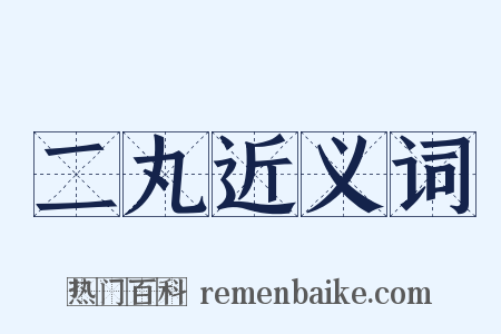 二丸近义词是什么意思的图片